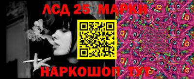 гидра Моздок