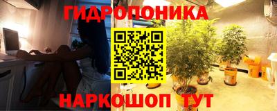 амф Можга