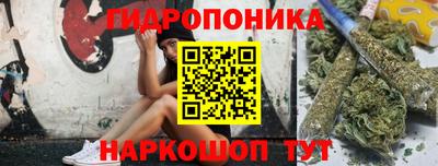 гидра Моздок