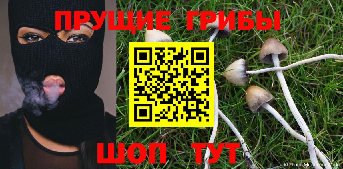 Псилоцибиновые грибы прущие грибы Топки